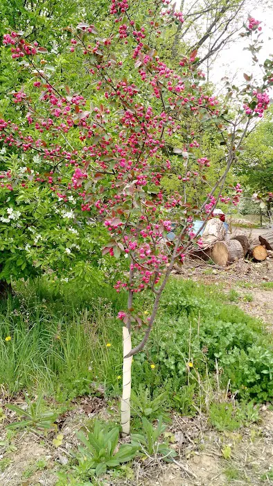 Z-Farm LLC Picture 7