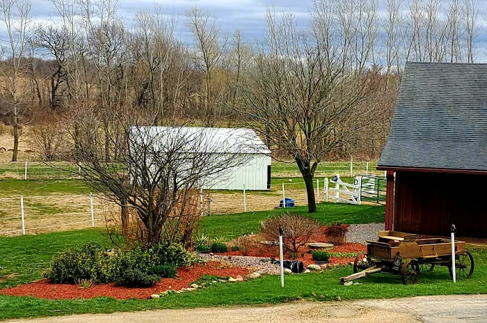 Lawndale Landscaping Picture 3