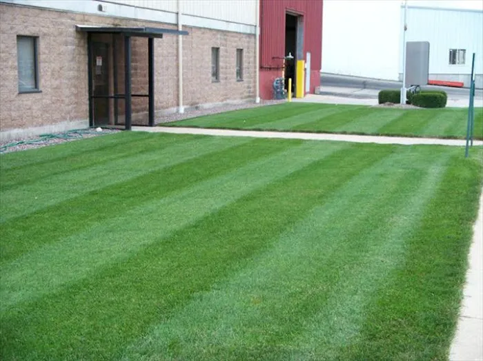 Puls Tree & Lawn Care, L.L.C. Picture 5