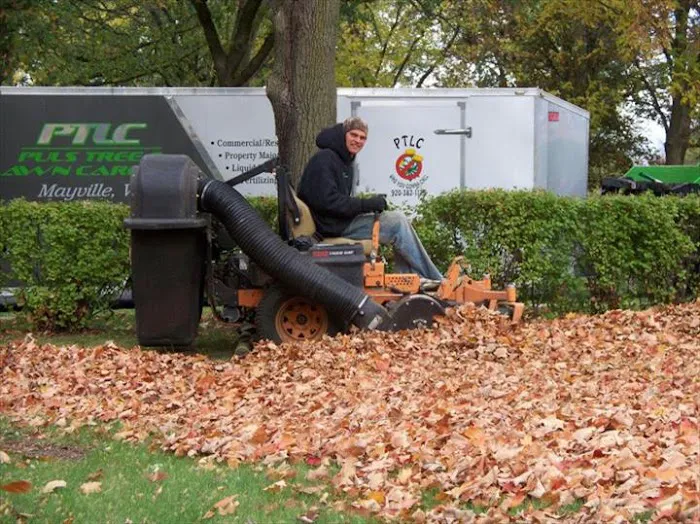 Puls Tree & Lawn Care, L.L.C. Picture 1