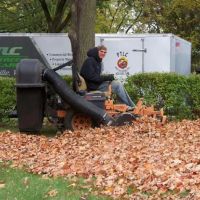 Puls Tree & Lawn Care, L.L.C. ico