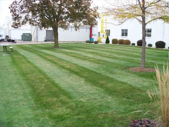 Puls Tree & Lawn Care, L.L.C. Picture 3