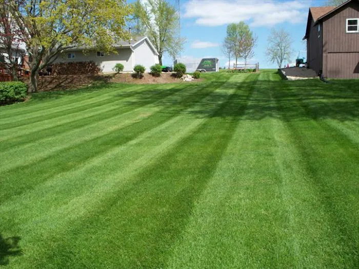 Puls Tree & Lawn Care, L.L.C. Picture 6