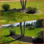 Legendary Lawn Care