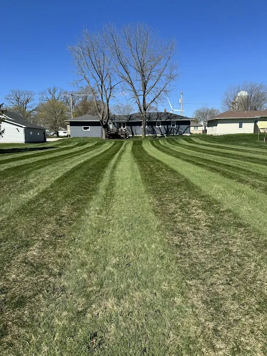 Alex's Lawn And Landscaping Service Picture 2