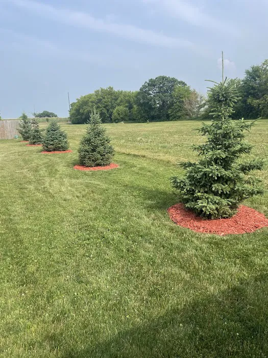 Alex's Lawn And Landscaping Service Picture 9