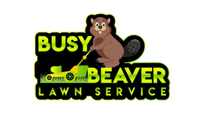 Busy Beaver Lawn Service Picture 5
