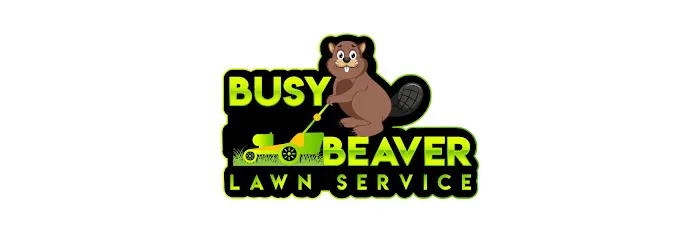 Busy Beaver Lawn Service Picture 1
