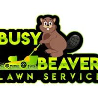 Busy Beaver Lawn Service ico