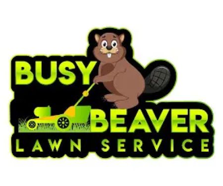 Busy Beaver Lawn Service
