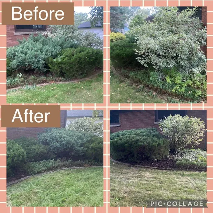 Busy Beaver Lawn Service Picture 2