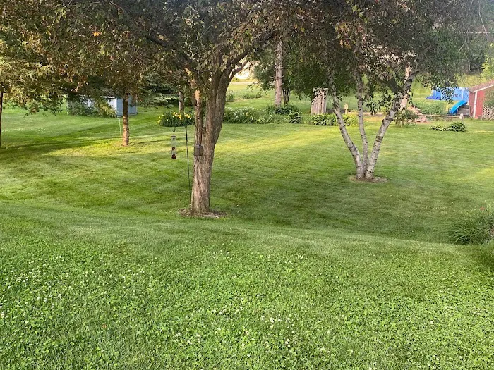 Busy Beaver Lawn Service Picture 4