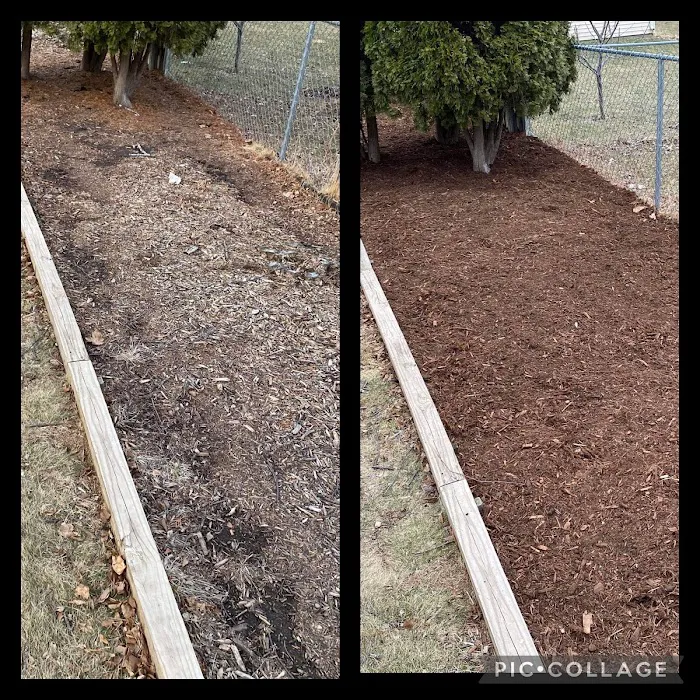 Busy Beaver Lawn Service Picture 3