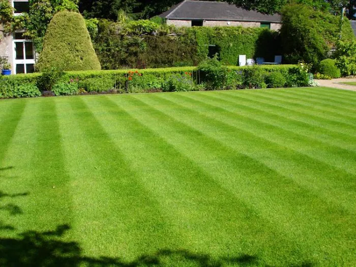 Jennifer James Landscape Management Picture 4