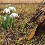 Jennifer James Landscape Management