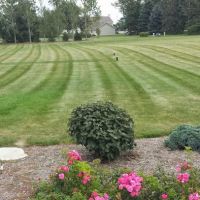 Brant's Lawn Care, Inc. ico
