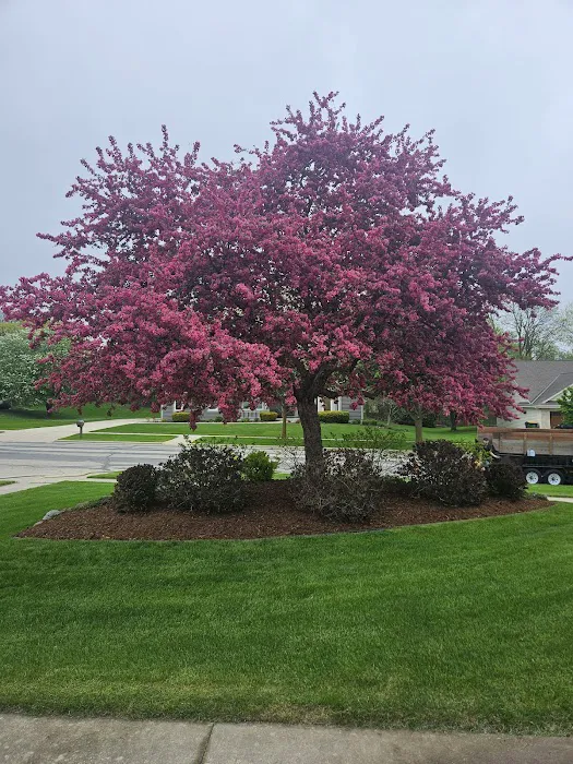 Krueger Landscape Services LLC Picture 2