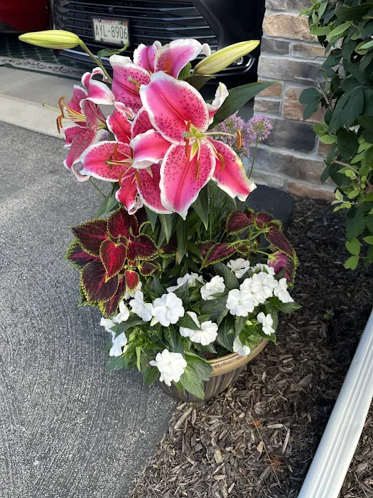 Paradise Gardens Nursery LLC Picture 3
