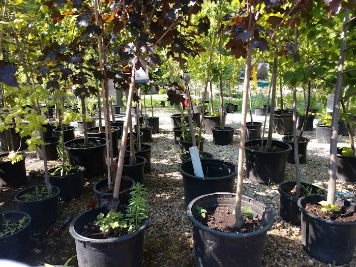 Paradise Gardens Nursery LLC Picture 8