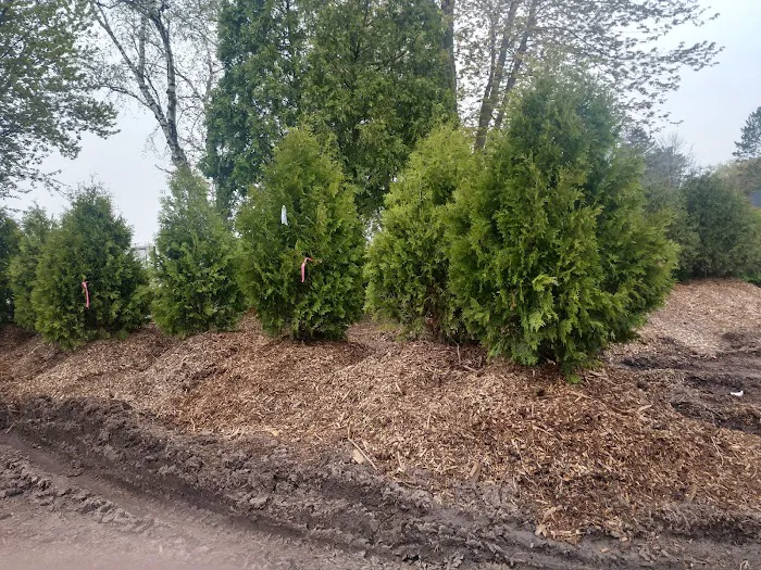 Paradise Gardens Nursery LLC Picture 10