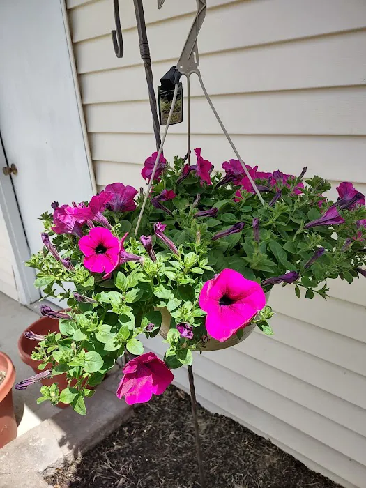 Paradise Gardens Nursery LLC Picture 9