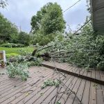 Jacksons Yard Care LLC