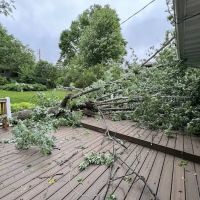 Jacksons Yard Care LLC ico