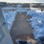 Best Buds Landscaping and Garden Center