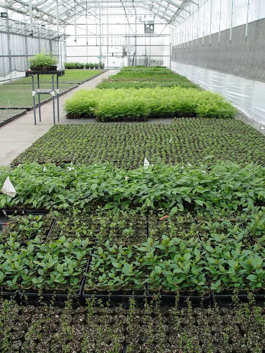 McKay Nursery Company Picture 10