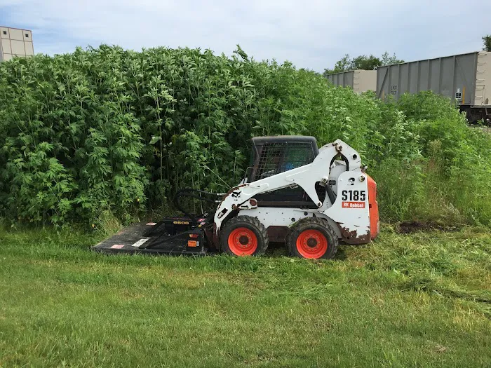 RSI Landscape Services Picture 10
