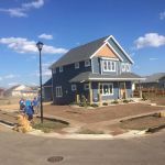 RSI Landscape Services