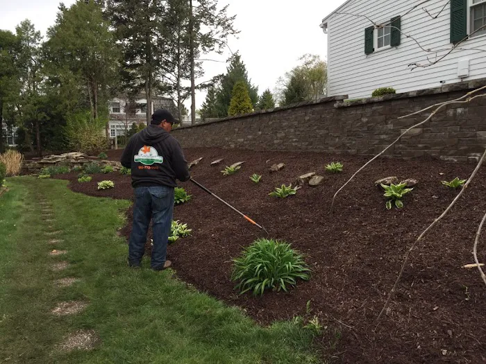 King Maple Landscaping LLC Picture 8