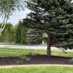 Wood-Stone Landscaping LLC