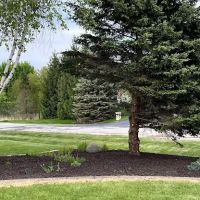 Wood-Stone Landscaping LLC ico
