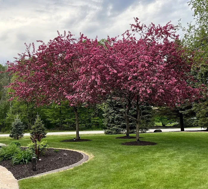 Wood-Stone Landscaping LLC Picture 4