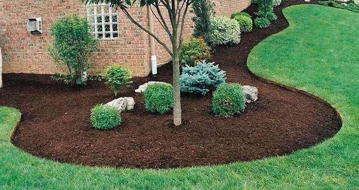 CDR Landscape Picture 2