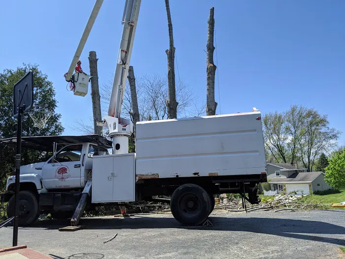 Sticks & Stones Landscape Contracting, LLC Picture 1