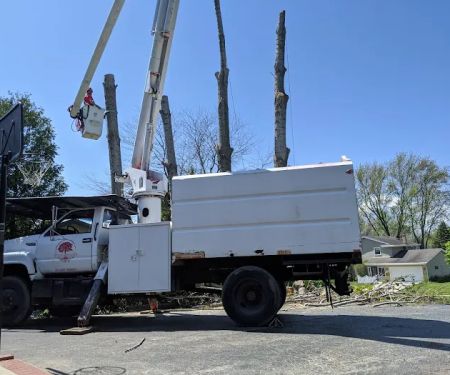 Sticks & Stones Landscape Contracting, LLC
