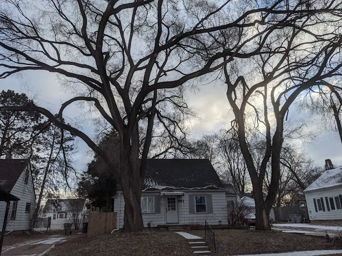 North Point Tree & Landscape Picture 4