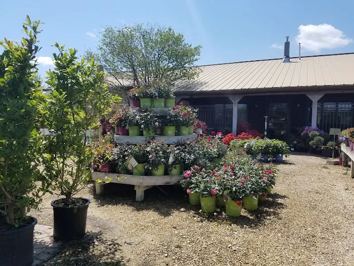 Heritage Hill Nursery Picture 9