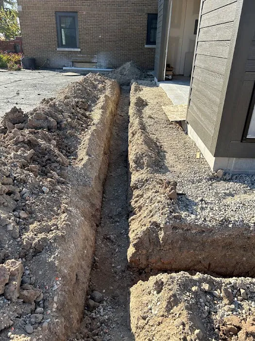 WSF Landscaping Services Picture 9