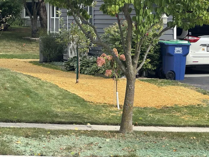 WSF Landscaping Services Picture 7
