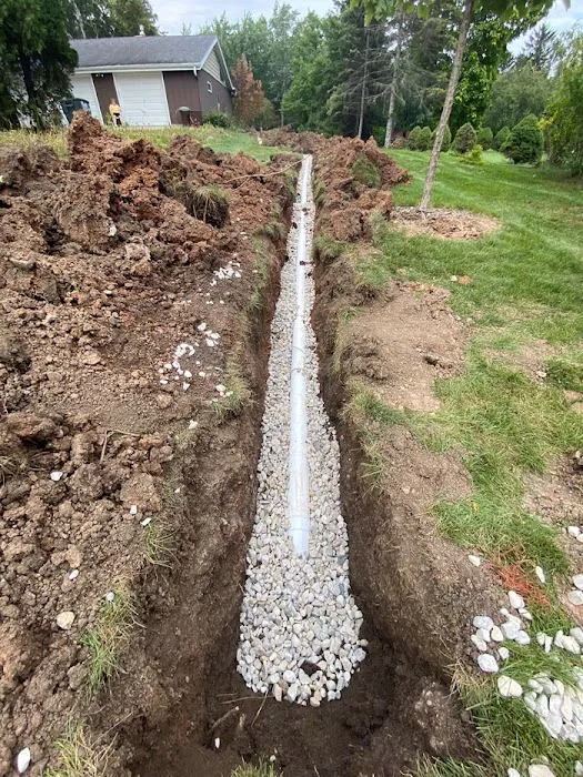 WSF Landscaping Services Picture 3