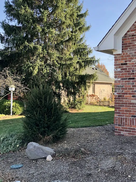 Rogers Tree Service & Landscaping LLC Picture 4