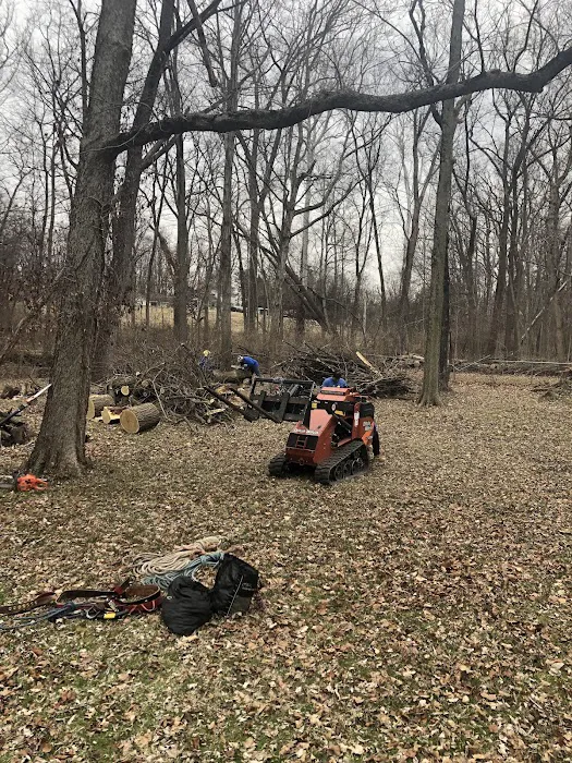 Rogers Tree Service & Landscaping LLC Picture 8