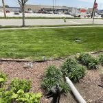 TruGreen Lawn Care