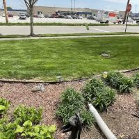TruGreen Lawn Care ico