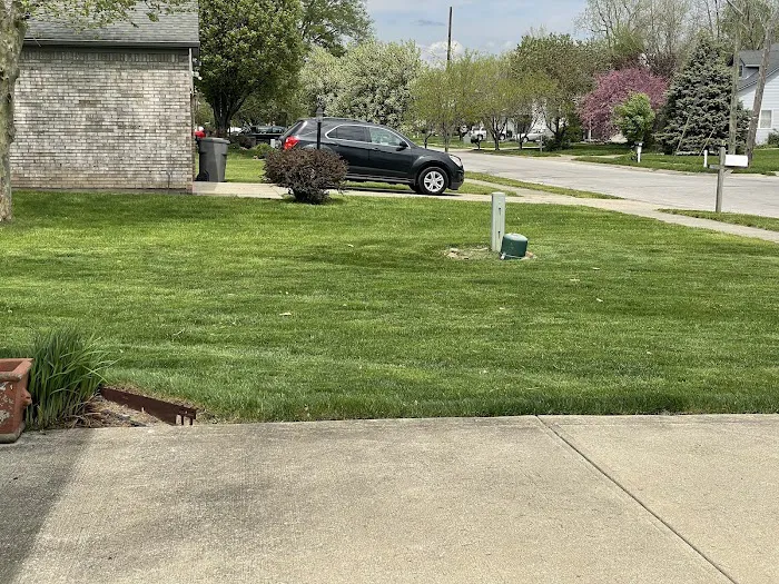 TruGreen Lawn Care Picture 6