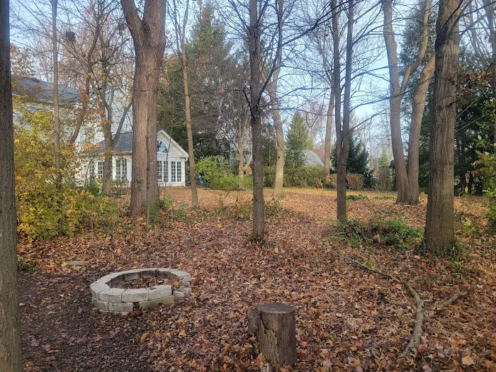 Serene Lawnscapes LLC Picture 8