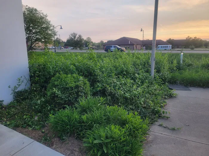 Serene Lawnscapes LLC Picture 6